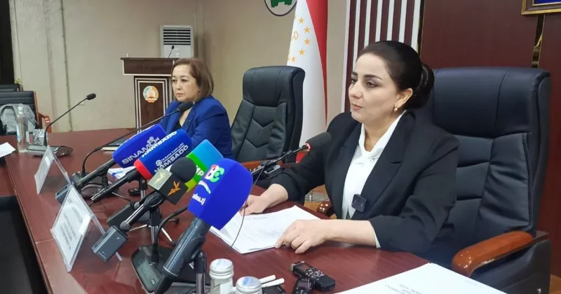 Граждане Таджикистана смогут выезжать на заработки в Японию и страны Бенилюкс