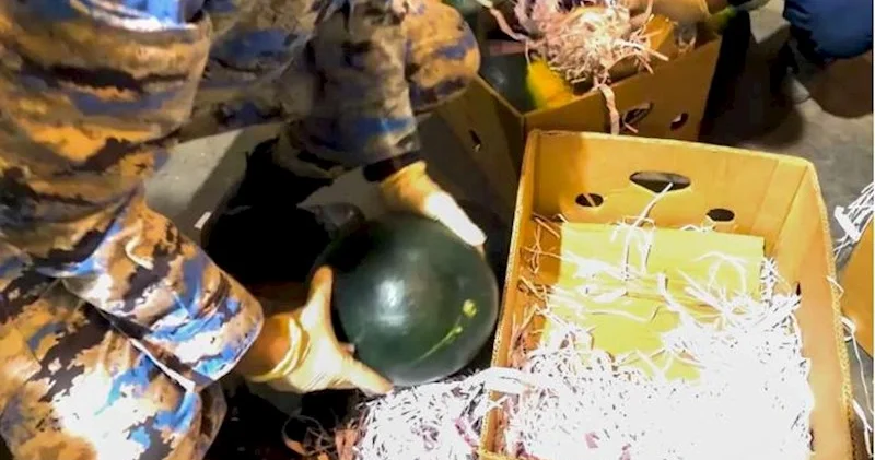 Gömrükdən qarpız adı ilə narkotik keçirmək istədilər Video