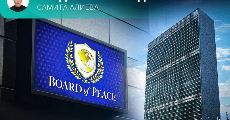 Кома ООН и фактор Совета мира Неудобная правда Самита Алиева