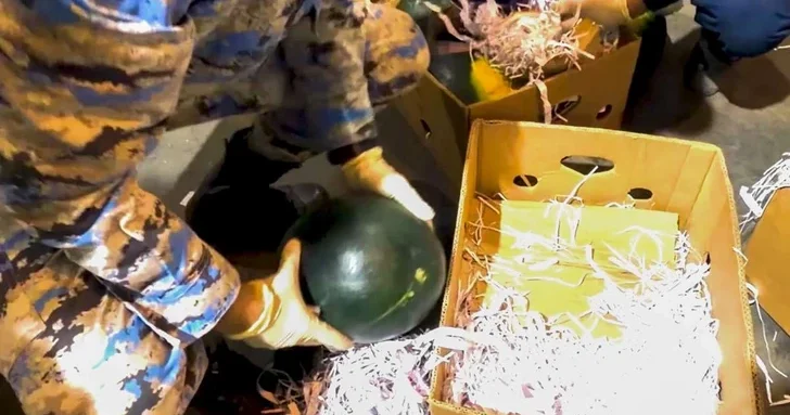 Таможенники Азербайджана обнаружили наркотики в грузе с арбузами из Ирана