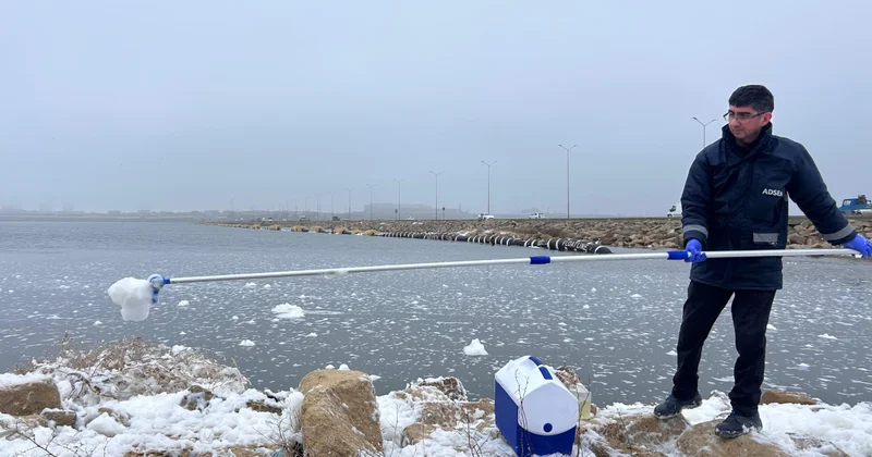 Озеро Беюкшор покрылось пеной: в чем причина? ФОТО