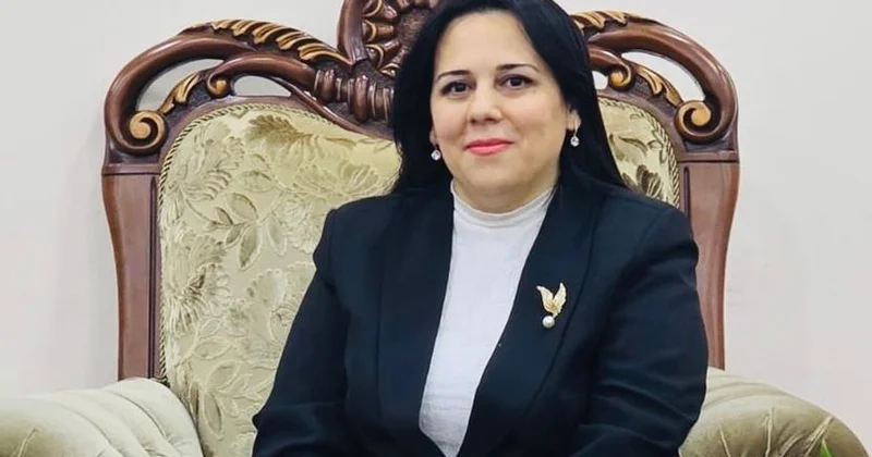 Mən səni yazdıqlarından tanıyırdım, Gülnarə Cəmaləddin