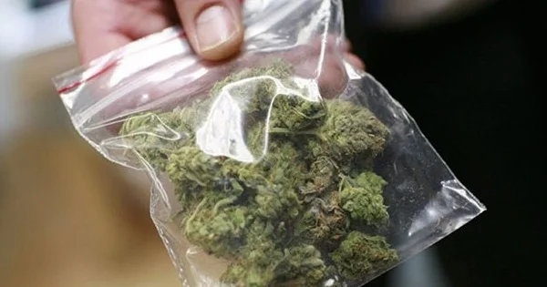 Narkotik asılılığı BELƏ başlayır DETALLAR