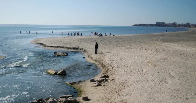 Xəzəri xilas etmək üçün müxtəlif ölkələrdən könüllülər dəvət olunub Tokayev