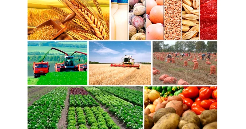 Əkin sahələrini sığortalayan fermerlərin sayı artıb