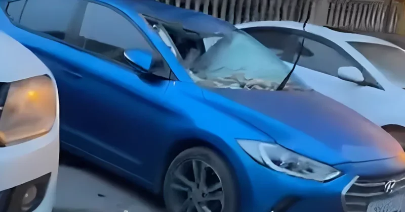 В Баку сильный ветер сорвал фасад жилого дома, повреждены автомобили видео