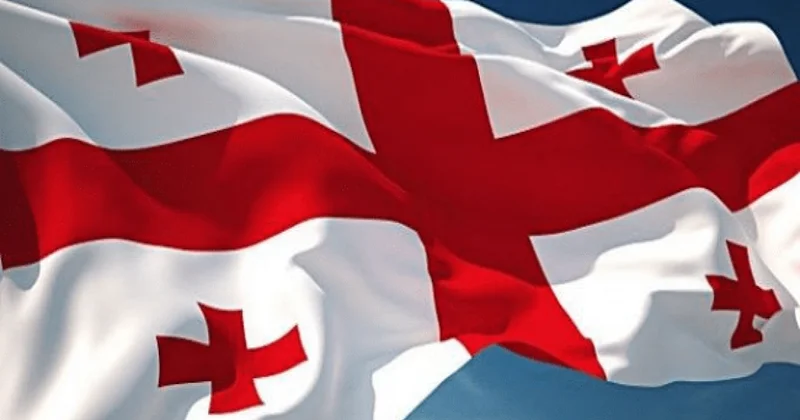 Gürcüstanda 11 illik təhsil sisteminə keçidlə bağlı qanun qəbul edilib