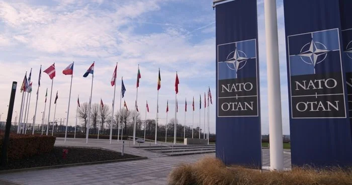 НАТО готовит оборонную миссию в Арктике на фоне событий вокруг Гренландии