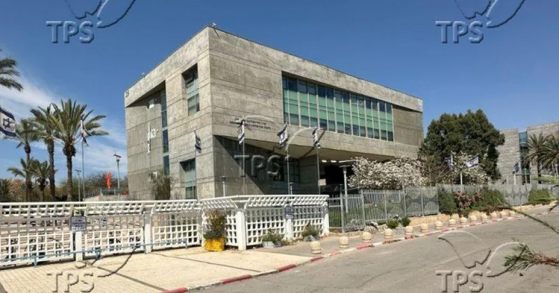 İsrailli alimlər dərinin immun sistemində aktiv rolunu üzə çıxarıb