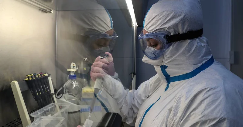 Ученые выяснили, что COVID 19 оставляет в организме зомби фрагменты Minval Politika