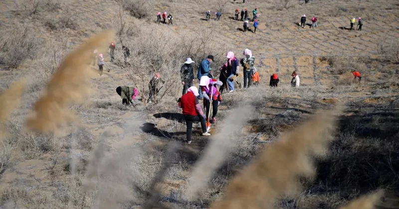Китай и Узбекистан расширяют взаимодействие для противодействия опустыниванию