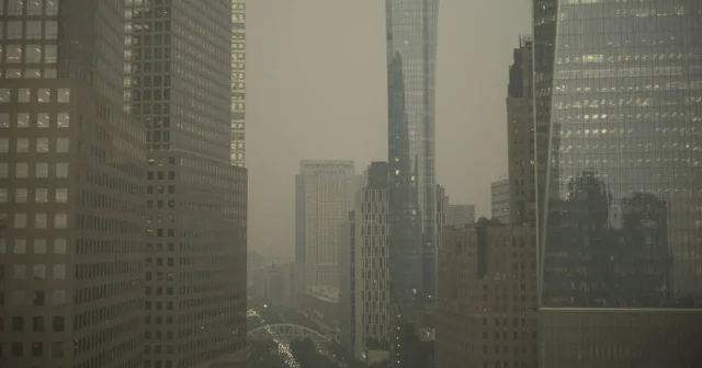 ABŞ da özəl sektorda məşğulluq proqnozlara uyğun gəlməyib