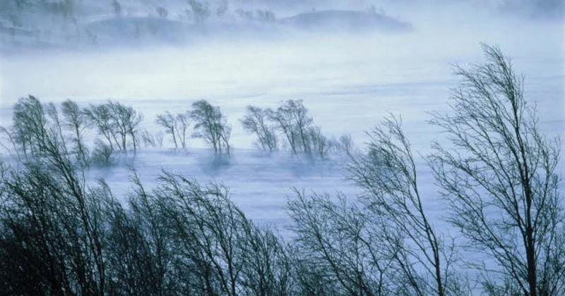 Azərbaycanda çovğun müşahidə edilir