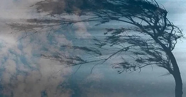 Ветер в Баку достиг опасной отметки ФАКТИЧЕСКАЯ ПОГОДА