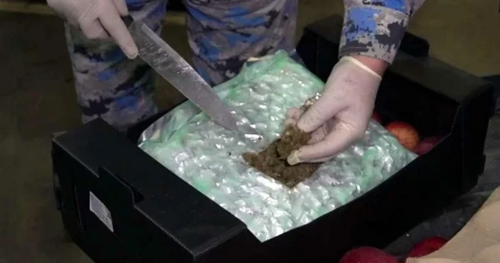 Суд оправдал водителя, перевозившего из Ирана в Азербайджан более 63 кг марихуаны