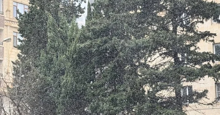 Qar çovğunu nə vaxtadək davam edəcək?