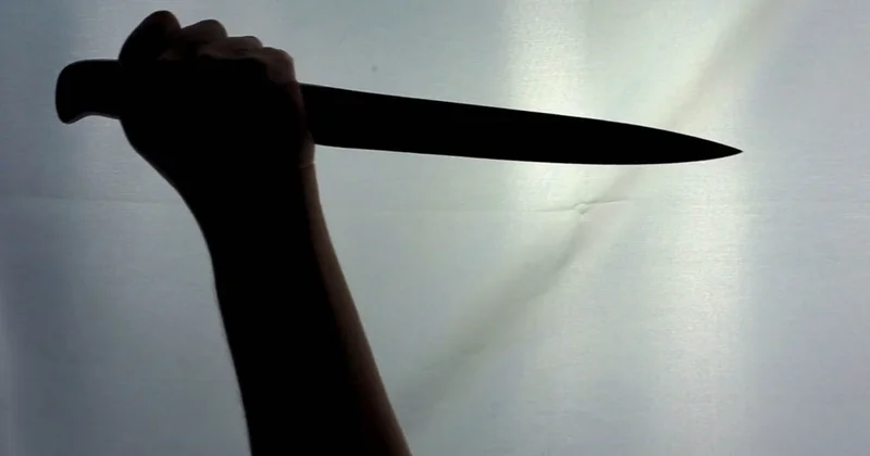 Bakıda atasını öldürməkdə şübhəli bilinən 15 yaşlı qız saxlanılıb YENİLƏNİB