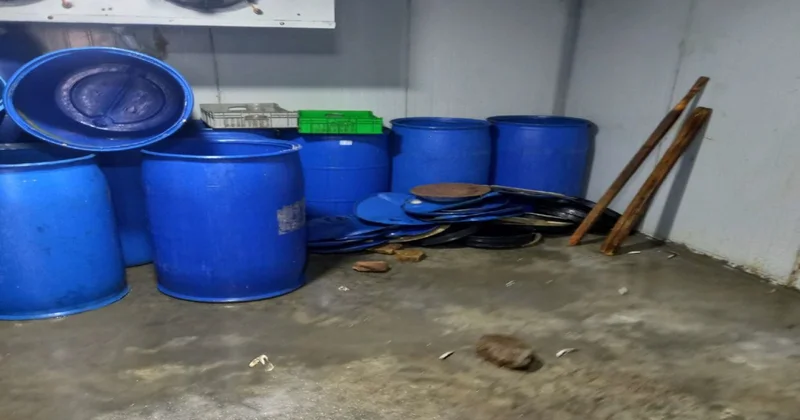 Hisə verilmiş balıq istehsalı sexində nöqsanlar aşkarlandı FOTO