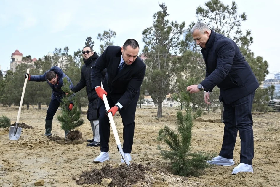 “Qənimətlər Parkı”nda “Çempionlar Xiyabanı” yaradılıb FOTO