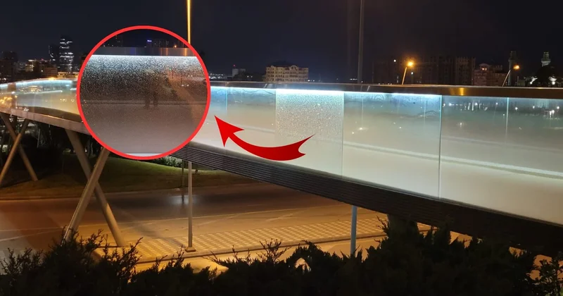 Bakıda Mərkəzi Parkda təhlükəli vəziyyət FOTO