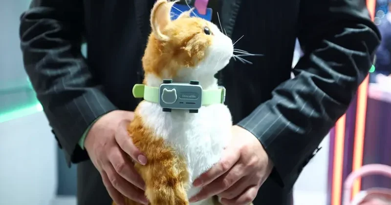Ev heyvanları üçün ağıllı telefon “PetPhone”