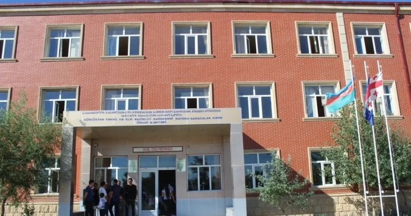 “Gürcü dili sektoru açılır, amma könüllüdür” Aygül İsayeva