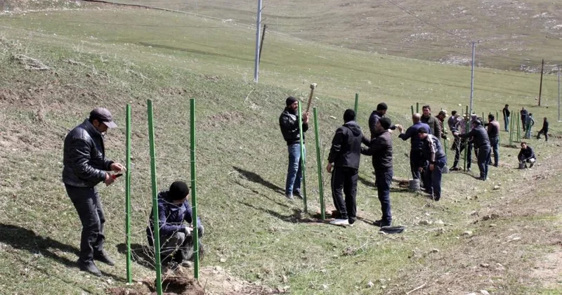 Daşkəsən rayonunda “Şəhərsalma və Memarlıq İli”nə həsr olunan ağacəkmə aksiyası keçirilib
