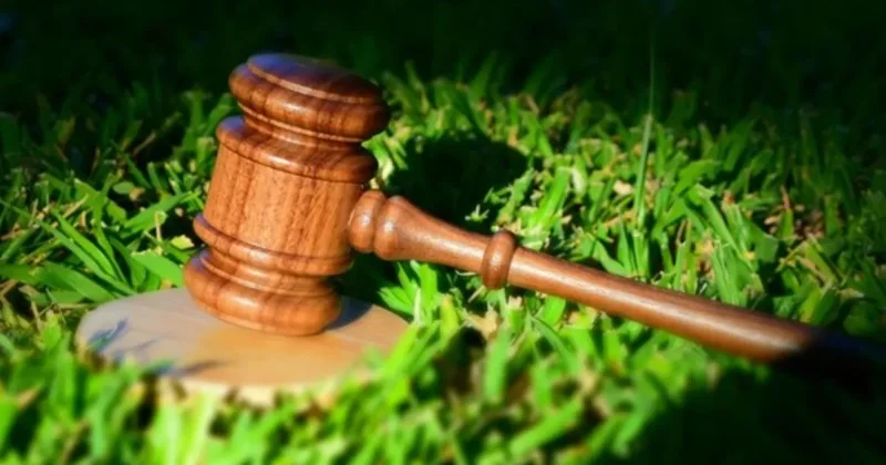 В Узбекистане задержаны земельные мошенники