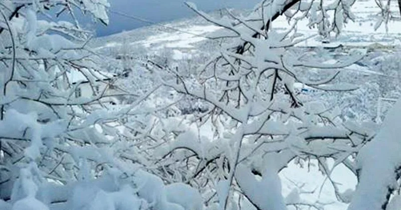 Azərbaycanın bəzi yerlərində qar yağır