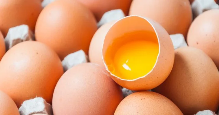 Yumurtanın sağlamlığa faydaları və zərərləri əsas miflər təkzib edildi