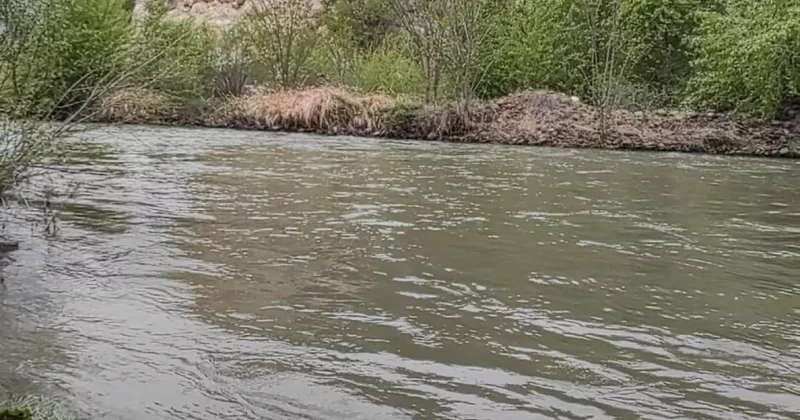 В Азербайджане сильные дожди привели к росту уровня воды в реках