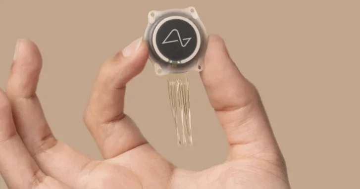 Neuralink планирует вживить возвращающий зрение чип в мозг человека за год