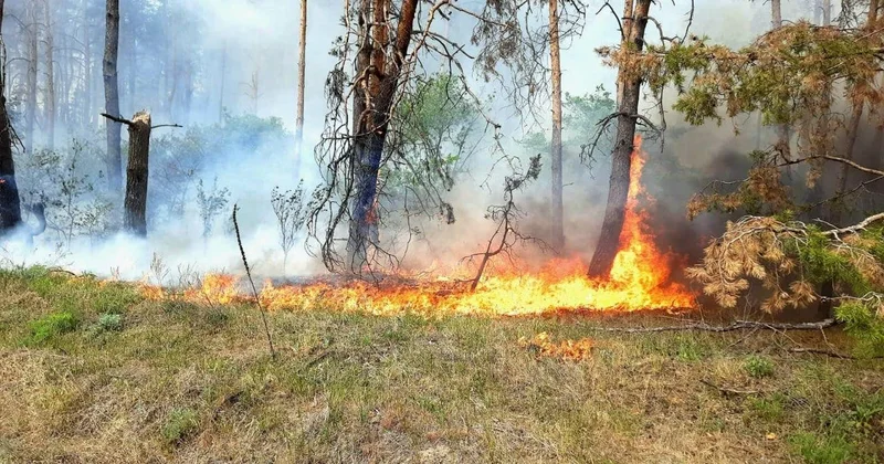 Təhlükəli alov, partlayan sursatlar Xarkovda son vəziyyət