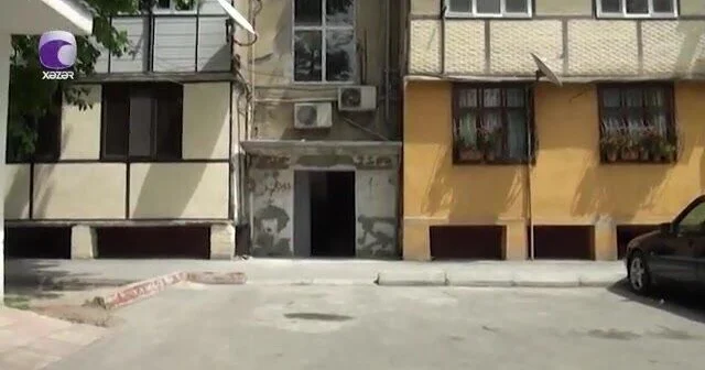 Azərbaycanda təhlükəli canlılar peyda oldu 60 ailə təhlükədə VİDEO