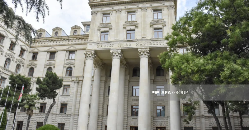 В МИД Азербайджана выразили отношение к задержанию Азера Бадамова в московском аэропорту
