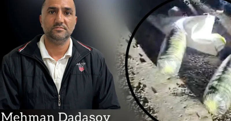 Neftçalada 7 kiloqrama yaxın narkotik vasitə aşkarlanıb
