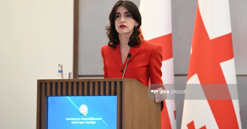 Gürcüstan Ukrayna ilə səfirlərin qayıtmasını müzakirə edib