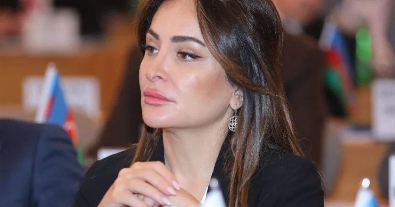 Luis Okamponun etiraflarından ibarət videomateriallar bir çox məkrli planları ortaya çıxardı ŞƏRH