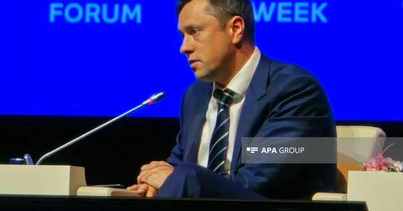 Anton Kosaç: Azərbaycan yaşıl enerji, süni intellekt və infrastruktur sahələrində sürətli irəliləyiş nümayiş etdirir