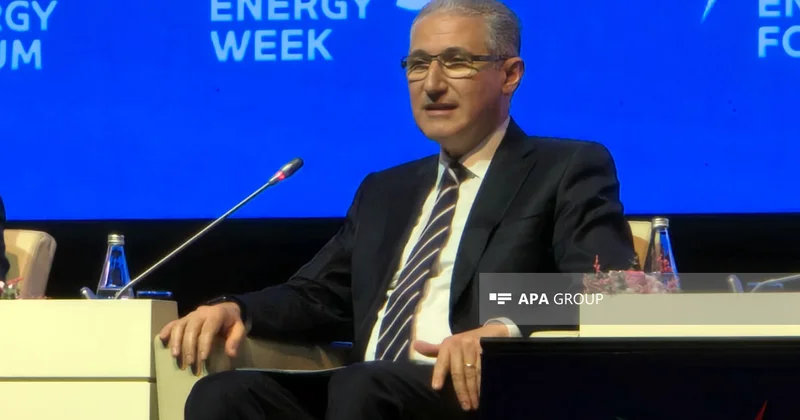 COP29 Prezidenti: 300 mlrd. dollarlıq iqlim maliyyələşməsinin reallaşması üçün indi fəaliyyət zamanıdır