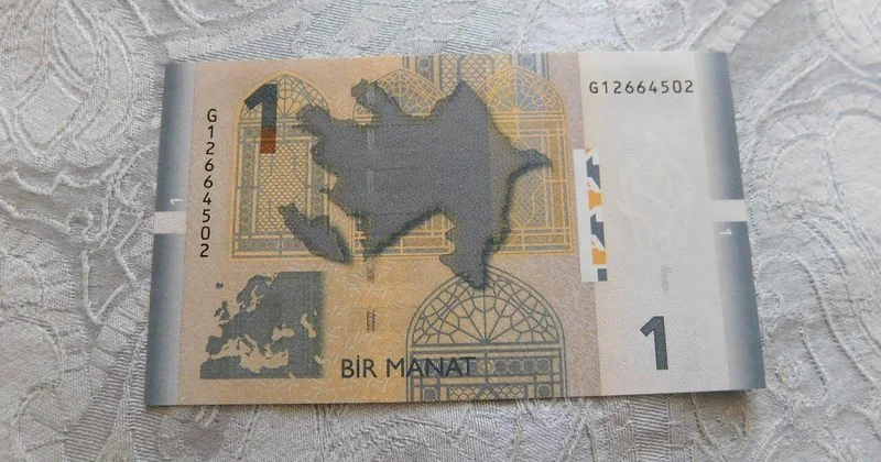 Bu böcəyi diri tutanlara pul mükafatı verilir 23 ədədi 1 manatdan FOTO