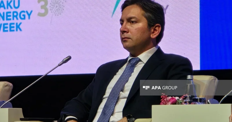 Yalçın Rəfiyev: COP29 nəticələrinə görə ən uğurlulardan hesab olunur