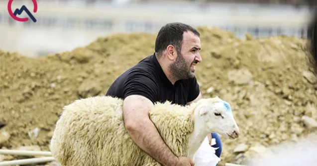Qurban kəsmək istəyənlər nələri bilməlidir?