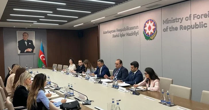 Азербайджан и Черногория провели консульские консультации