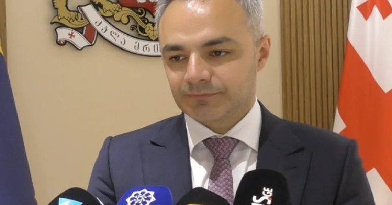 Gürcüstanda milli azlıqlar üçün nəzərdə tutulmuş “1+4” proqramı təkmilləşdirilir