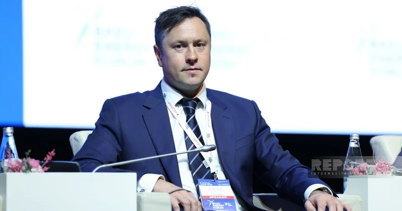 BCG: Азербайджану важно продолжить реализацию амбициозных целей, заявленных на COP29