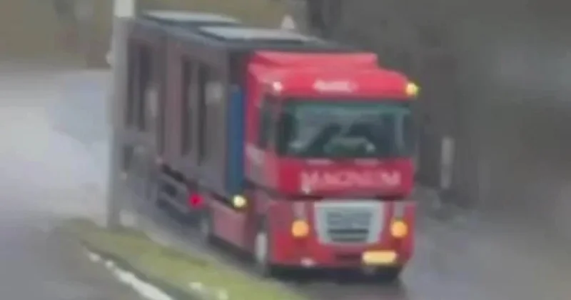 Так начиналась Паутина видео