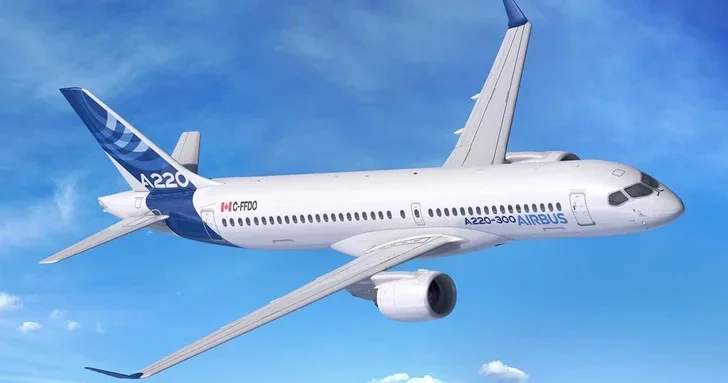 В Канаде еноты остановили работу завода, повредив самолет Airbus