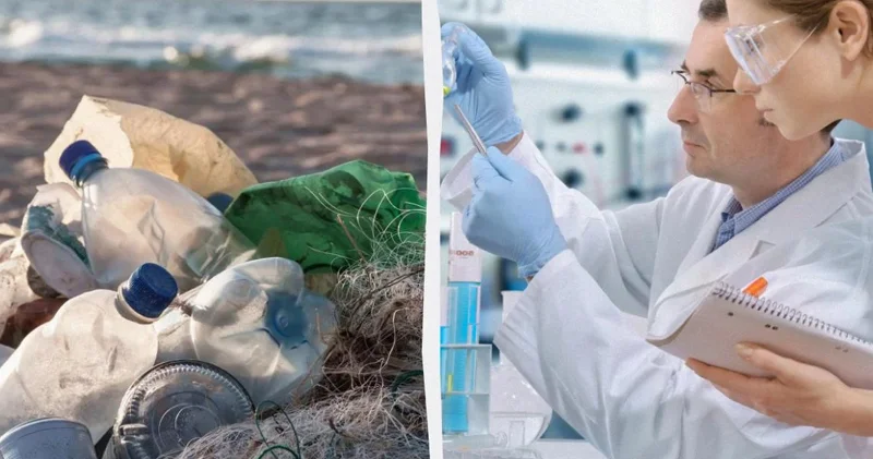 Alimlər bir neçə saat ərzində həll olan plastik hazırladı: Bunu necə bacardılar?
