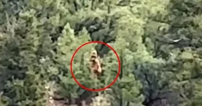 ABŞ də bir qrup turist qar adamını lentə alıb